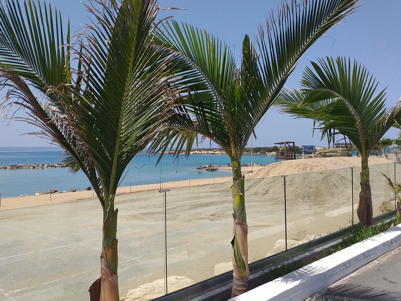Cyprus beach